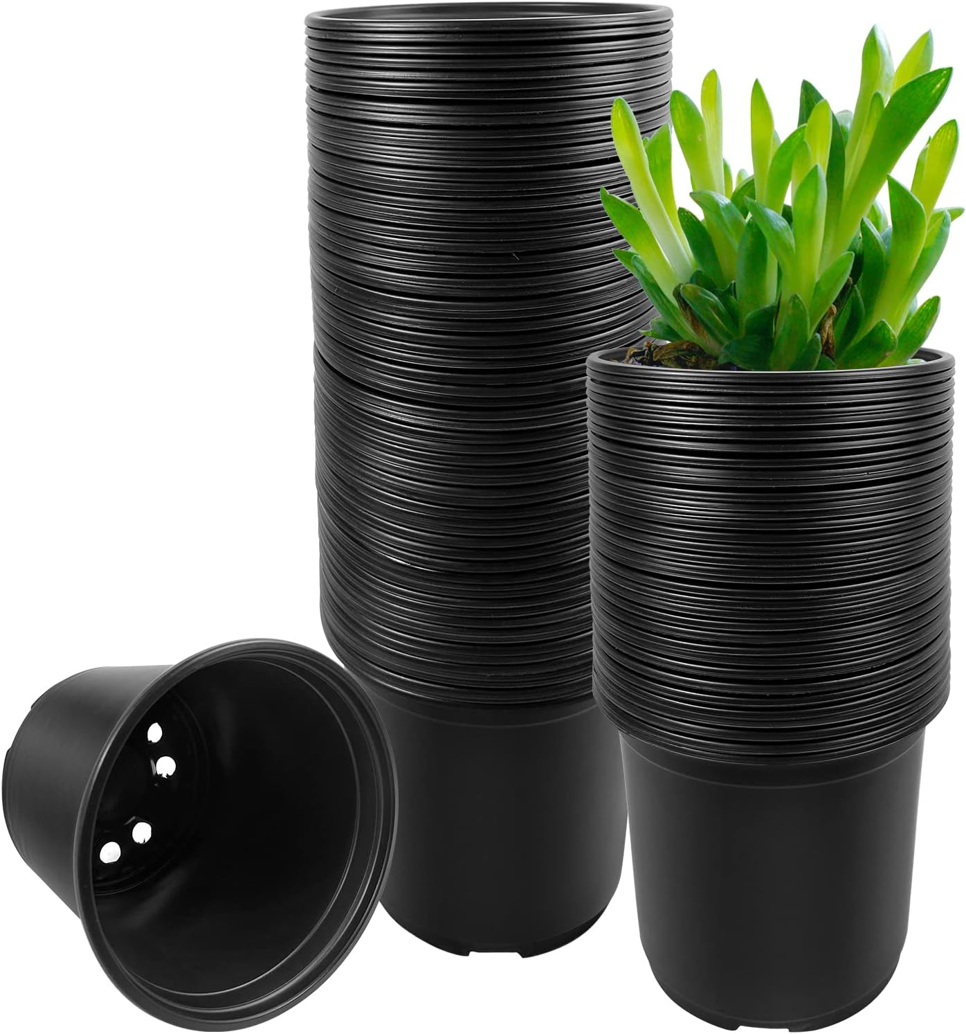 Seedling Nursery Pot Packs — Commercial Nurseries